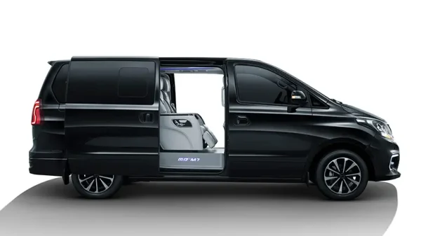 Mini Van (4-6 People)